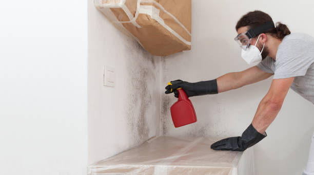 Professional Basement Mold Removal technician working in Sanford, NC