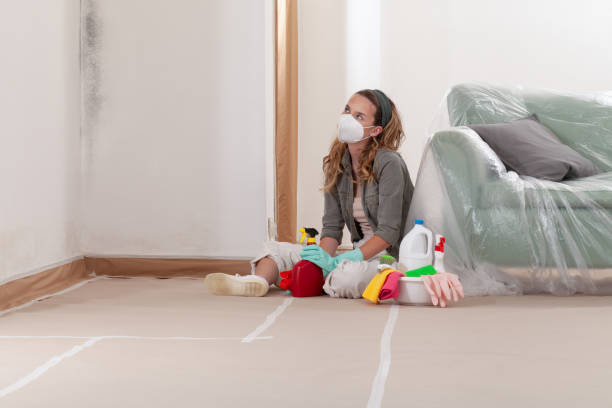 Reliable Basement Mold Removal contractor in Sanford, NC by WQB Mold Removal